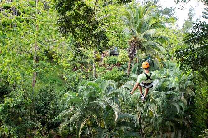 Adrena-Line Zipline, St. Lucia - Value for Money: Does $63.75 Feel Worth It?