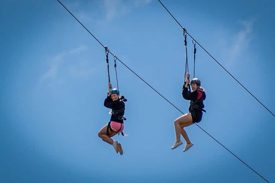Adrenalin Addo Adventure Park: Zip Line and Giant Swing - The 500m double zip line: speed, height, and an easy ending