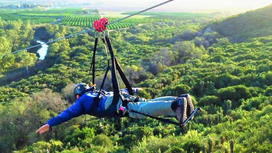 Adrenalin Addo Adventure Park: Zipline, Superman & Swing - What to Bring, What’s Included, and What Costs Extra