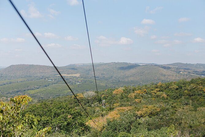 Aerial Cable Trail in Hazyview - Who this suits best (and who should check first)