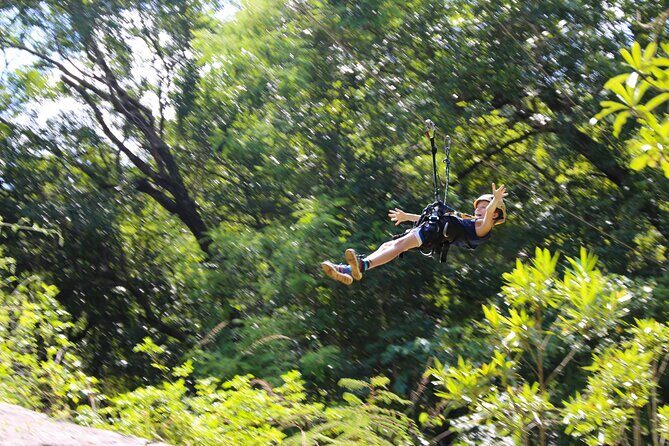 Aerial Cable Trail in Hazyview - Platforms as mini-pauses: vegetation, birds, and forest-floor perspectives