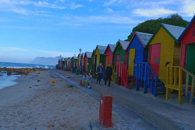 African Penguins (Boulders Beach) Half Day tour from Cape Town - Muizenberg Beach: Surf Spot Views and False Bay Color