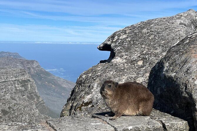 African Wonder of Nature Table Mountain Hike. - The view payoff: Atlantic bays, beaches, dunes, and Robben Island