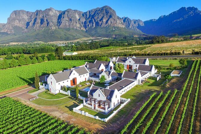 Airport Shuttle to and from Cape Town Airport - Getting From the Airport to Your Cape Town Stay (Without the Chaos)