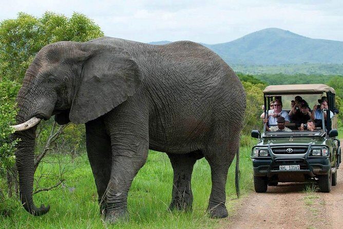 All Inclusive 3 Day Kruger Safari Adventure From Johannesburg - Day 1 in Kruger: the first drive plus starlit lodge time