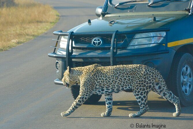 All Inclusive 3 Day Kruger Safari Adventure From Johannesburg - The guides make the difference: small-group safari tactics