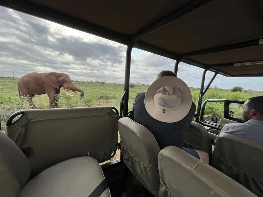 All Inclusive 3 Day Kruger Safari from Nelspruit - Quick Key Points Before You Go