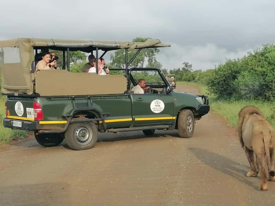 All Inclusive 3 Day Kruger Safari from Nelspruit - Lodge Nights in Kruger: Comfortable Base, Real Breaks