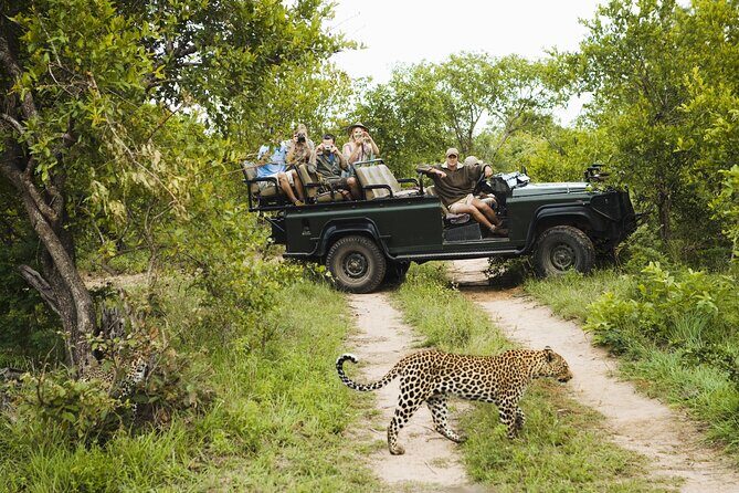All inclusive BIG 5 Kruger 2 Day Safari from Johannesburg - Key Highlights You’ll Feel Immediately