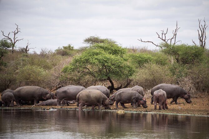 All inclusive BIG 5 Kruger 2 Day Safari from Johannesburg - Getting From Johannesburg (or Pretoria) Into Kruger Without Headaches