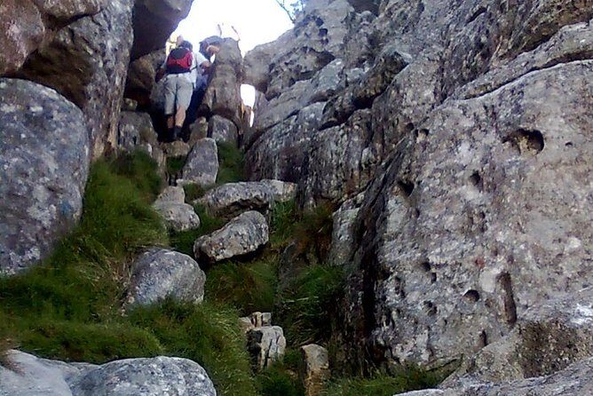 An exciting scramble on Table Mountain - Pickup, guides, and the small-group advantage in Cape Town