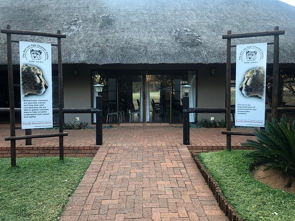 Ann Van Dyk Cheetah Centre Tour from Johannesburg or Pretoria - Why Ann Van Dyk Cheetah Centre feels efficient (even when the drive takes time)