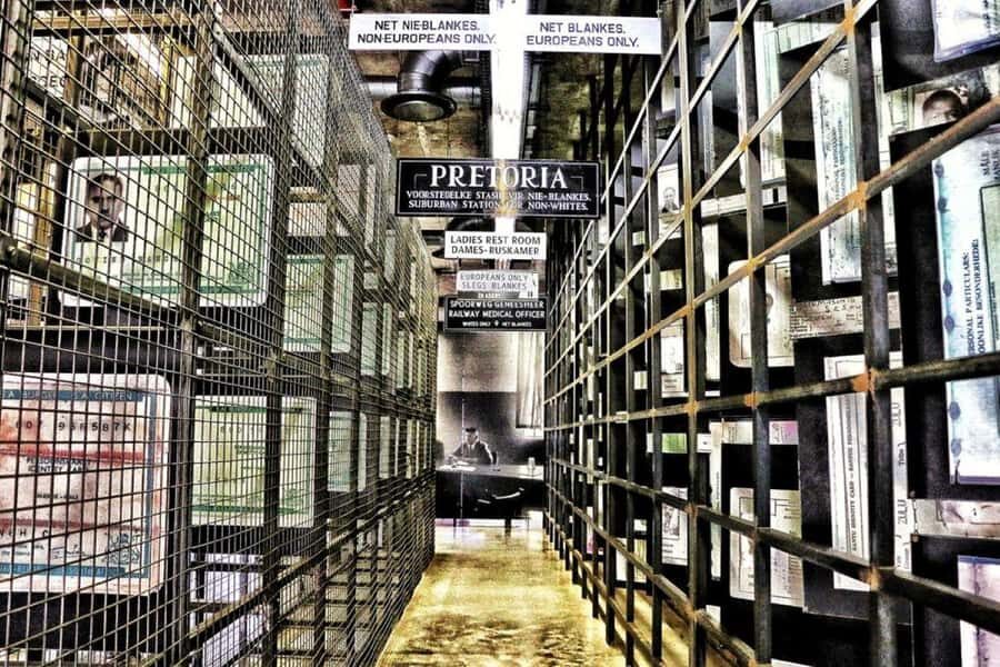 Apartheid Museum Tour - Who This Tour Fits Best (and Who Should Consider Timing)