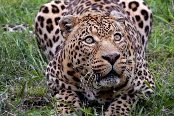 Aquila Game Reserve Safari with wine tasting, Transport & Lunch - Price and logistics: the real cost including the Aquila entrance ticket