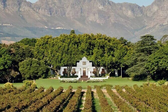 Aquila Game Reserve Safari with wine tasting, Transport & Lunch - Lunch at the lodge: buffet style, vegetarian options, and alcohol not included