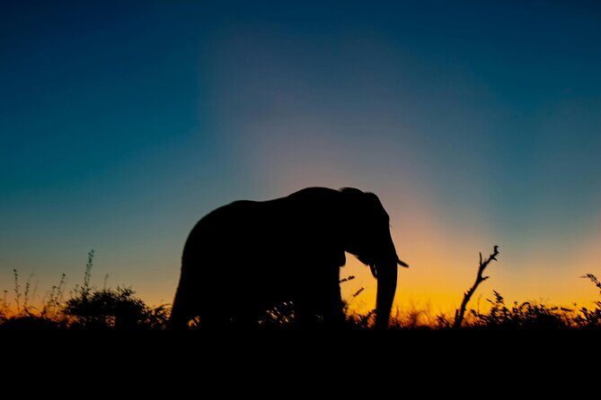 Aquila Game Reserve Sunset Safari - Key things to know before you go