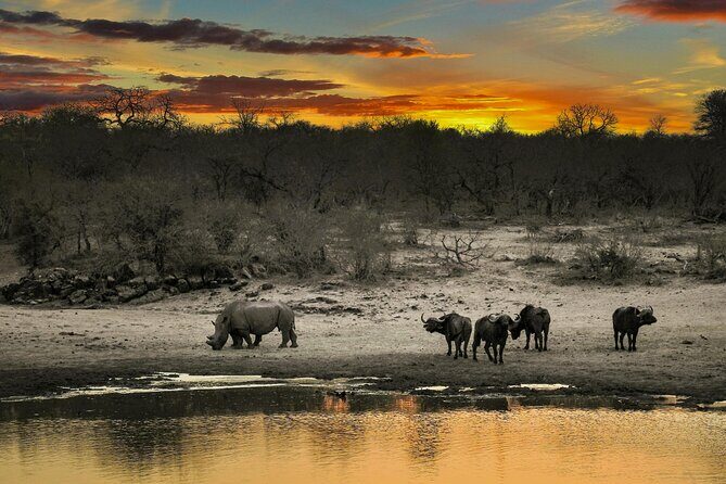 Aquila Game Reserve Sunset Safari - Price and value: what $165 really covers