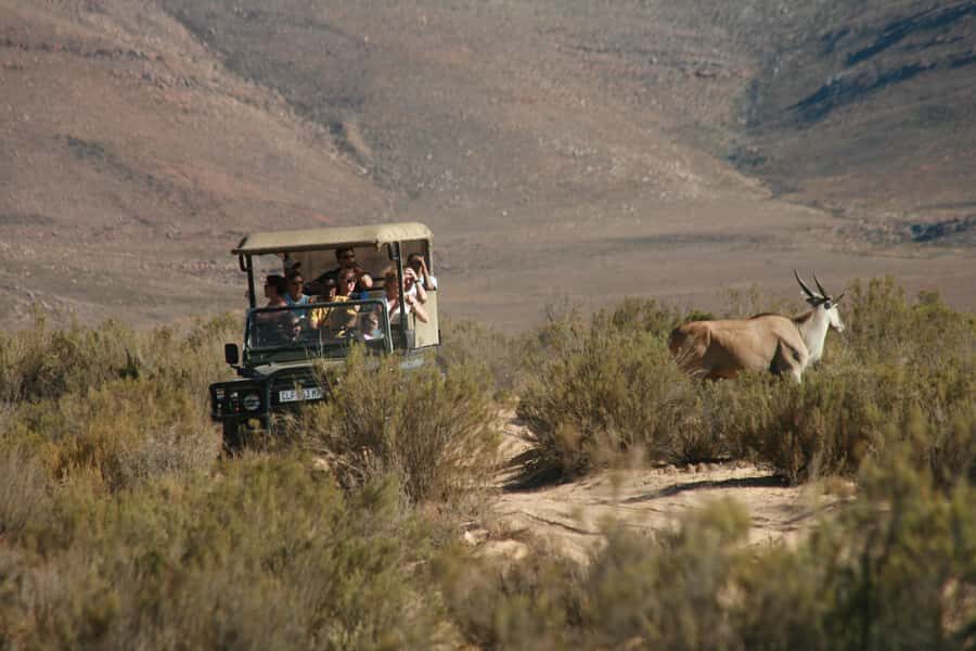 Aquila Reserve: Private Day Tour with Shared Game Drive - Key things to know before you go