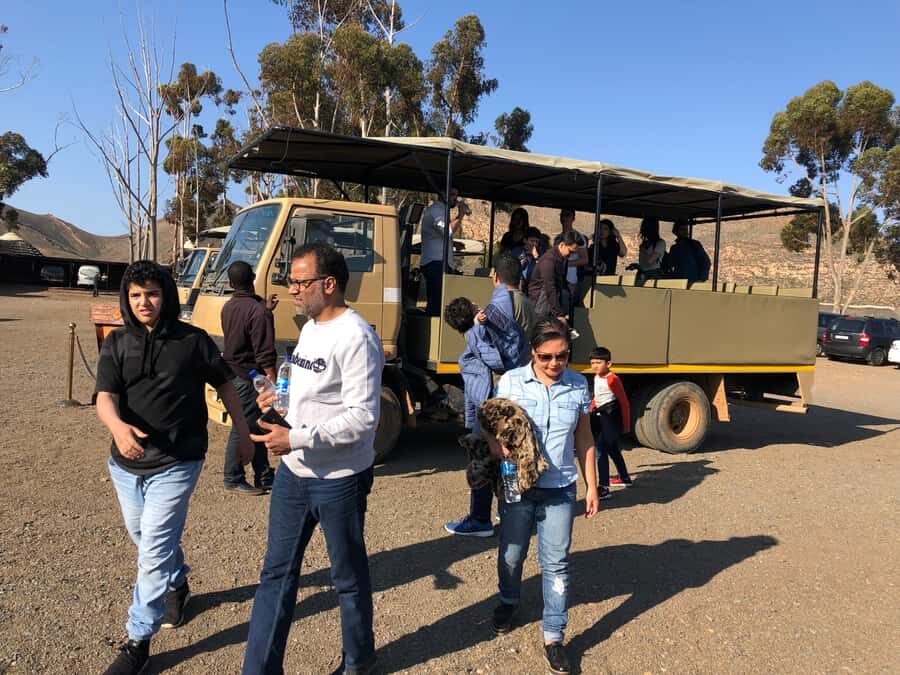 Aquila Reserve: Private Day Tour with Shared Game Drive - After the drive: bar lounge, pool time, and optional spa breaks