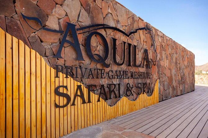 Aquila Safari Game Drive Lunch & Transfers from Cape Town - Key things that make this safari day work