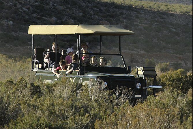 Aquilla BIG5 private Safari Cape Town - Practical Tips That Will Save You Hassle