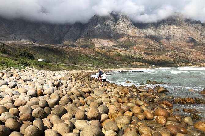 Authentic Cape Town Tour - Food breaks you’ll actually look forward to: coffee, seafood, and local stops
