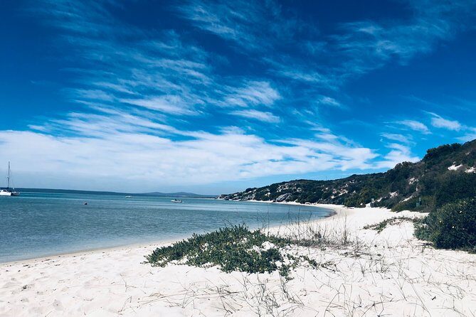 Authentic Cape Town Tour - The wine-and-coast vibe: how a classic wine stop can fit in