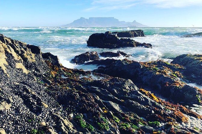 Authentic Cape Town Tour - Cape Town Central: your flexible start and how the day flows