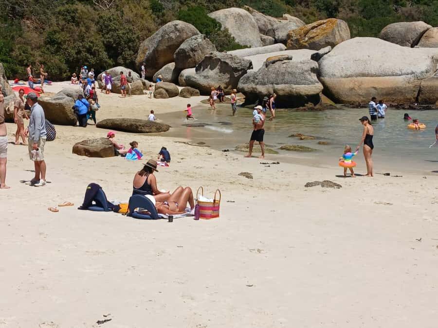Beach Day at Boulder's Beach & Penguin watching, Half Day - Key highlights to look forward to