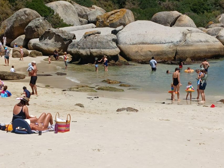Beach Day at Boulder's Beach & Penguin watching, Half Day - Who this tour suits best (and who might want a different plan)
