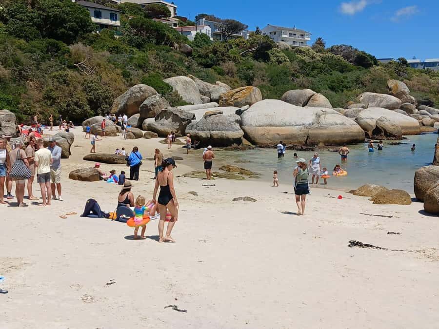 Beach Day at Boulder's Beach & Penguin watching, Half Day - A 5-hour loop that hits the best Cape Town views