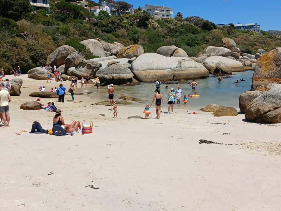 Beach Day at Boulder's Beach & Penguin watching, Half Day - Price and what you actually get for $36