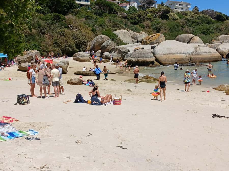 Beach Day at Boulder's Beach & Penguin watching, Half Day - What to bring so the beach and viewpoints feel easy