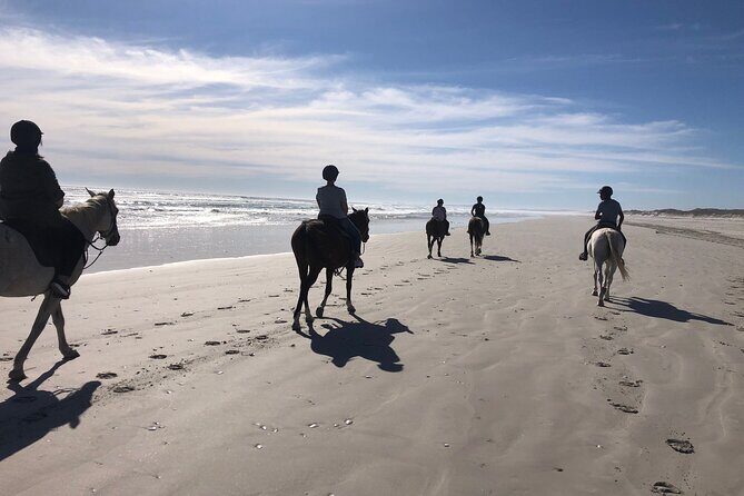 Beach Horse Ride in Yzerfontein, Western Cape - Key things that make this beach horseback safari worth it