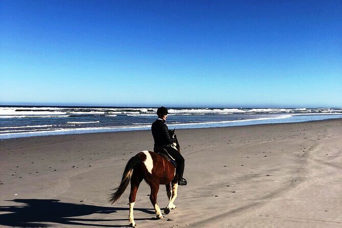 Beach Horse Ride in Yzerfontein, Western Cape - Low tide timing: why your start time depends on the sea