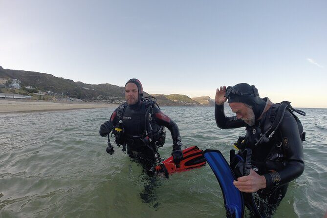 Beginner Scuba Diving Experience in Simonstown. - Where You Start: Jubilee Square and the Simon’s Town Setup