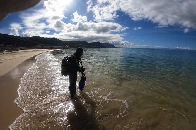 Beginner Scuba Diving Experience in Simonstown. - The Underwater Hour: Kelp Forest Life and a Max Depth of 7m