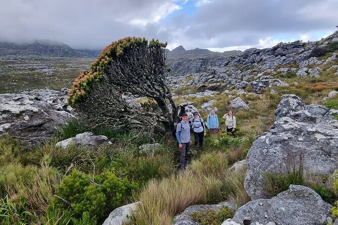 BEST of Table Mountain! Exhilarating Full-day Guided Hike - Key highlights at a glance