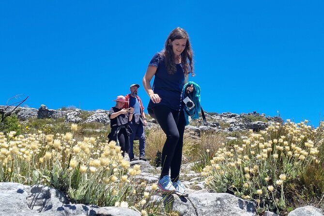 BEST of Table Mountain! Exhilarating Full-day Guided Hike - Maclear’s Beacon and the front-edge walk: final views, final effort
