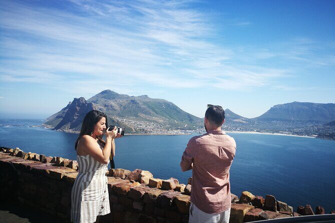 Best of the Cape Full Day Private Tour - A full day that hits Cape Peninsula and the Winelands