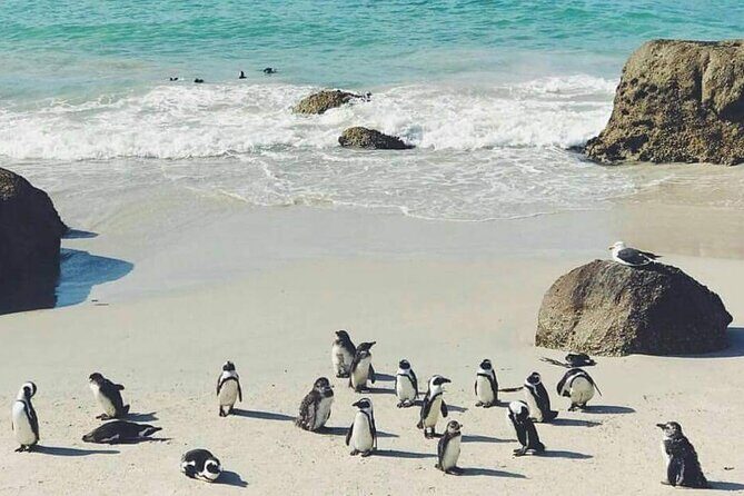 Best of the Cape Full Day Private Tour - Cape Point and Cape of Good Hope: lighthouse time and the most-southwest photo