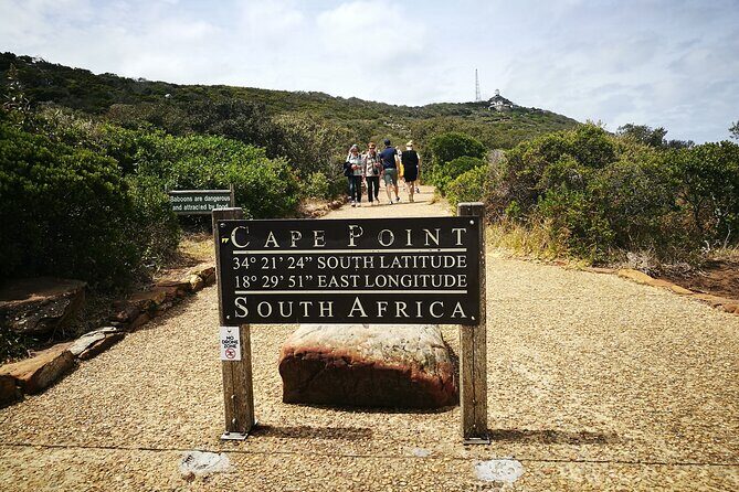 Best of the Cape Full Day Private Tour - Stellenbosch tastings: two premium stops with room to slow down