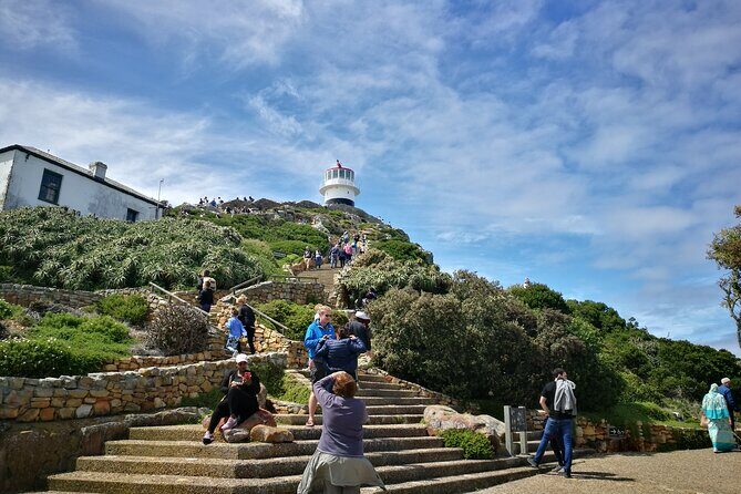 Best of the Cape Full Day Private Tour - How guides shape the day: Colin, Tim, and Prince
