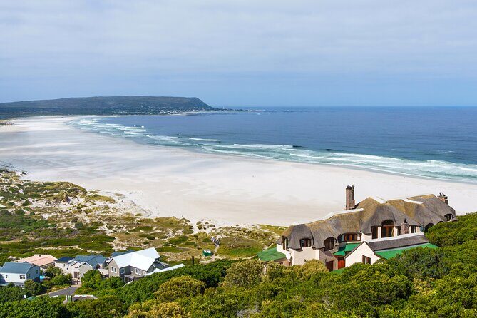 Best of The Cape Full Day Private Tour with Table Mountain - Cape of Good Hope: Where the Oceans Meet