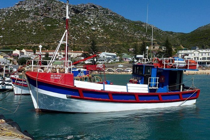 Best of The Cape Full Day Private Tour with Table Mountain - Cape Point Lighthouse: Walk or Tram, Then Pick Your Lunch Style