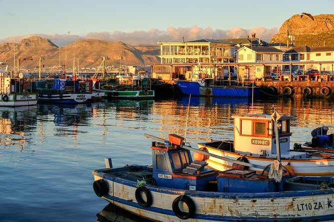 Best of the Cape Peninsula Private Tour - Cape of Good Hope: Where Wildlife Adds a Different Kind of Wow