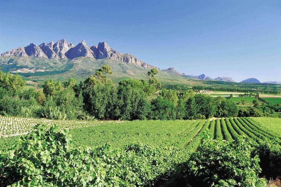 Best of the Cape Peninsula & Wine Route with Wine Tasting - Simon’s Town, False Bay, Kalk Bay, and Muizenberg: The coast feels like a story