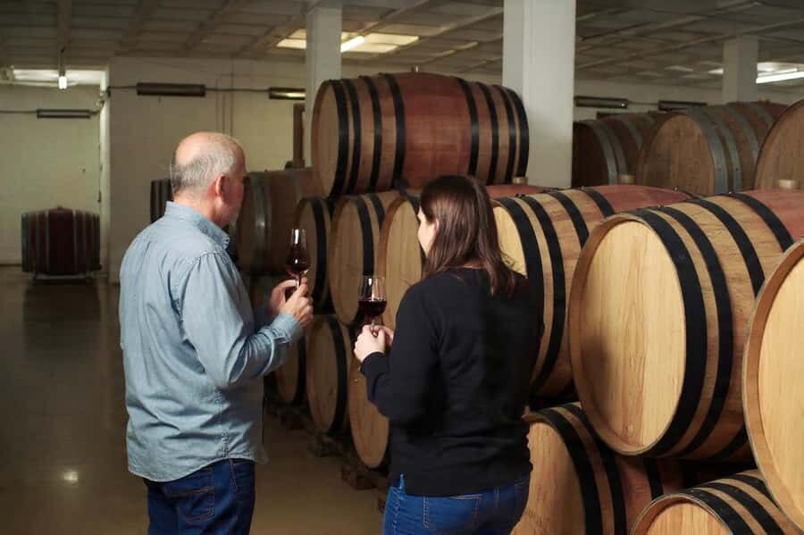 Best of the Cape Peninsula & Wine Route with Wine Tasting - Comfort, Timing, and the Little Things That Matter