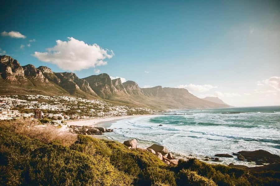 Best of the Cape Peninsula & Wine Route with Wine Tasting - Who Should Book This Tour (and Who Might Not)