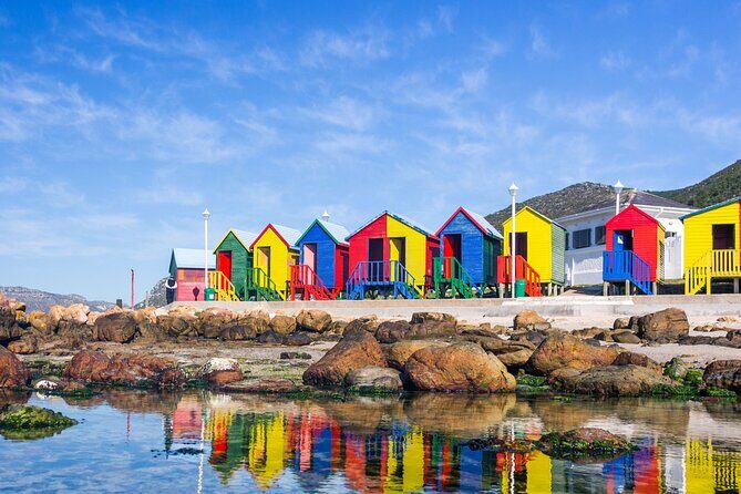 Best of the Cape Private full day tour - Key highlights you’ll care about